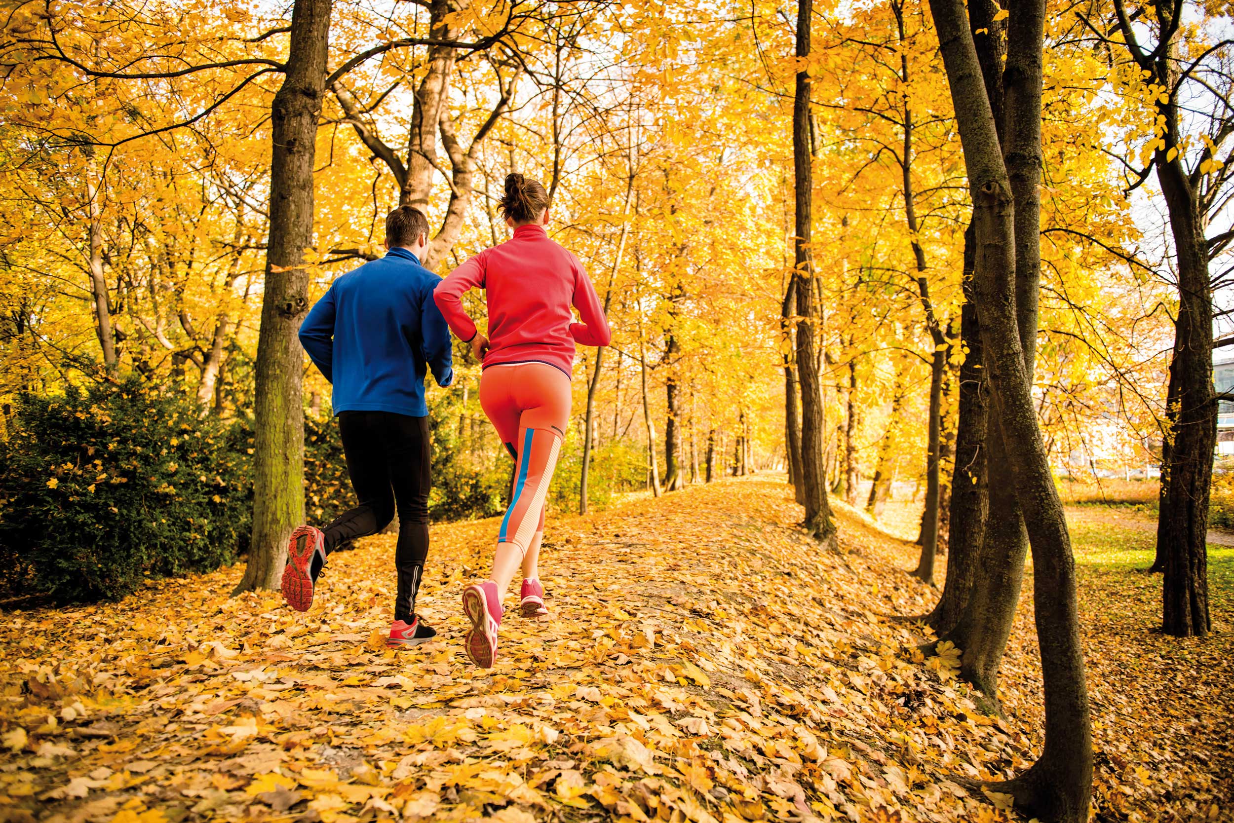 Jogging_Herbst_Sport_L_2x